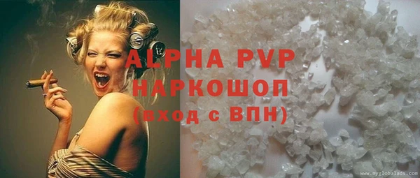 твердый Новодвинск