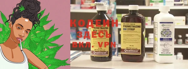 твердый Новодвинск