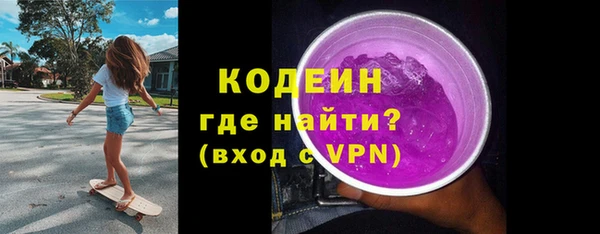 твердый Новодвинск