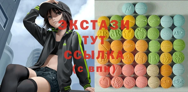 твердый Новодвинск