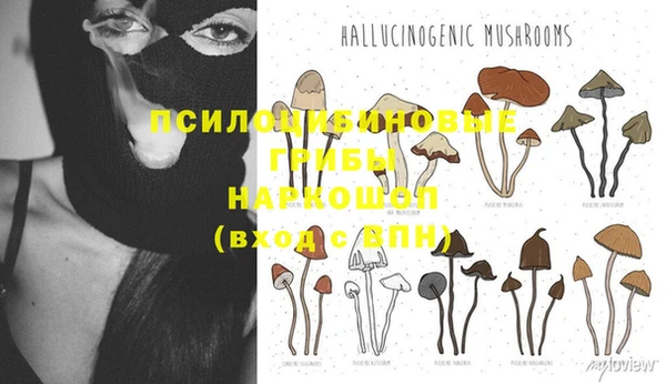 синтетический гашиш Новокубанск