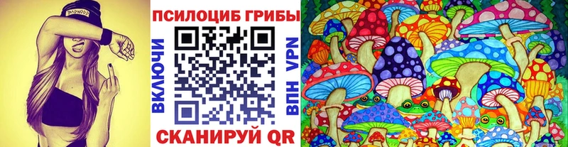 цена наркотик  Сковородино  Псилоцибиновые грибы прущие грибы 